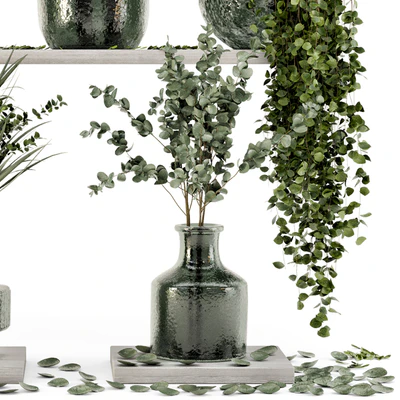 Collection Indoor Plants in Glass Pots - Set 695 — Ver 2