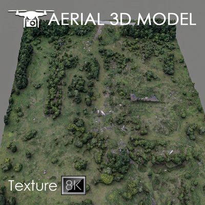 Forest 60 — Ver 1