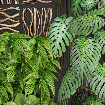 Vertical garden 2. Вертикальный сад, фитостена, фитомодль, озеленение, зеленая картина, куст, настенный декор, ветки, монстера, папоротник, алоказия, эко, эко декор, лофт — Вид 2