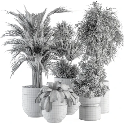 indoor Plant Set 362- Tree and Plant Set in Black and Gray pot — Вид 2