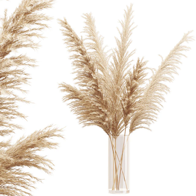 Big dried flower pampas grass in glass vase — Descargar