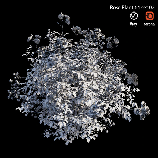 Rose plant 64 set 02 — Скачать