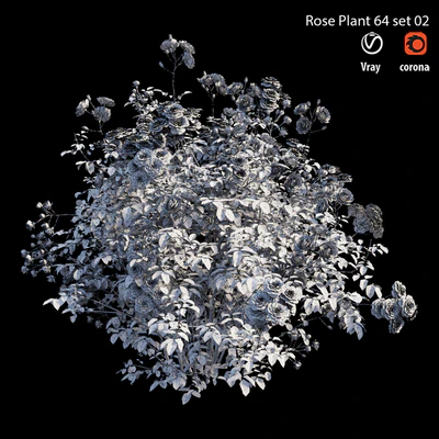 Rose plant 64 set 02 — Вид 2