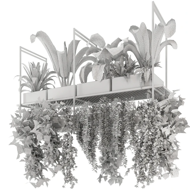 Indoor Hanging Plants in Metal Box - Set 78 — Descargar