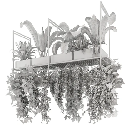 Indoor Hanging Plants in Metal Box - Set 78 — Ver 2