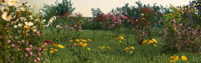 iflowers vol 001 — Descargar
