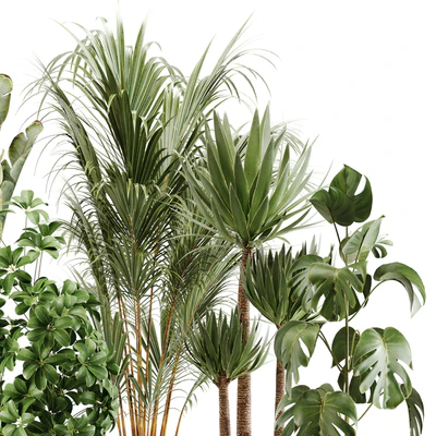 indoor plant Set 13 — Вид 2