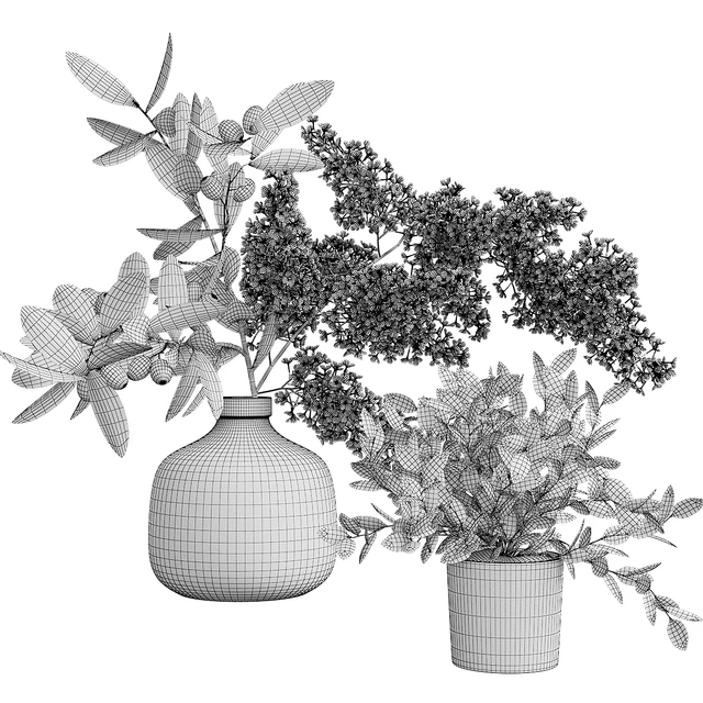 Flowers, branch — Descargar