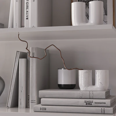 Shelves with decor — Ver 3