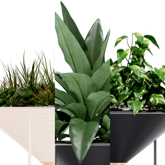 Plants collection 141 Artica — Descargar