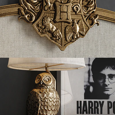 Harry Potter PBteen — Вид 2