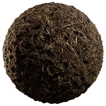 dried grass 005 — Скачать