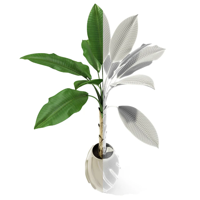 Palm tree — Скачать
