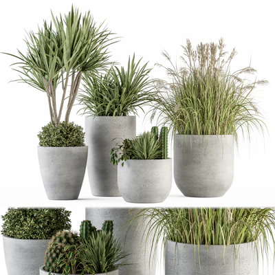 Outdoor Plant Set 233 - Plant in Pot Set — Ver 1