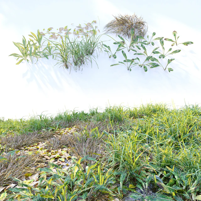 Meadow 2 — Descargar