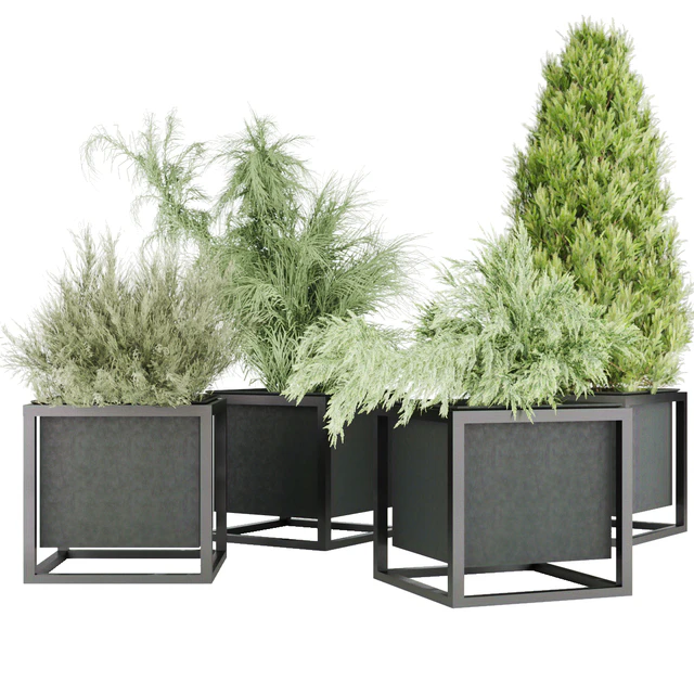 Collection plant vol 14 — Descargar