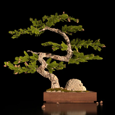 Bonsay.Dekor Interior — Ver 1