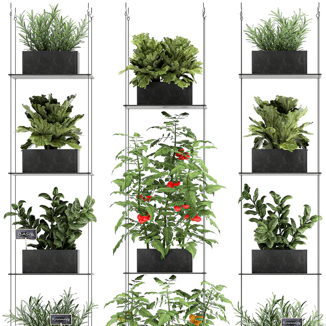 Vertical gardening kitchen garden garden with vegetables, tomatoes, peppers, herbs, lettuce, rosemary. Set 69. — Descargar