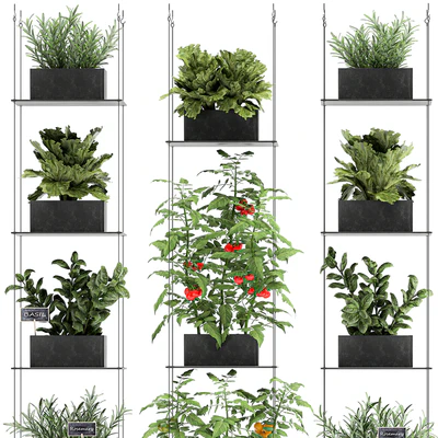 Vertical gardening kitchen garden garden with vegetables, tomatoes, peppers, herbs, lettuce, rosemary. Set 69. — Ver 2