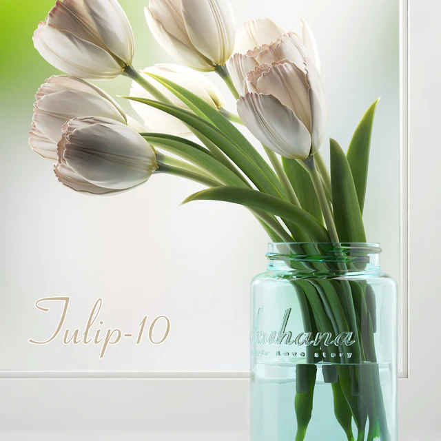 Tulip 10 — Descargar