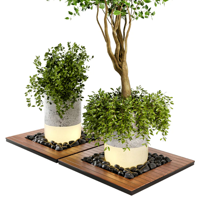Outdoor Plants bush & Tree Combination of wood & concrete  Pot - Garden Set 45 — Скачать