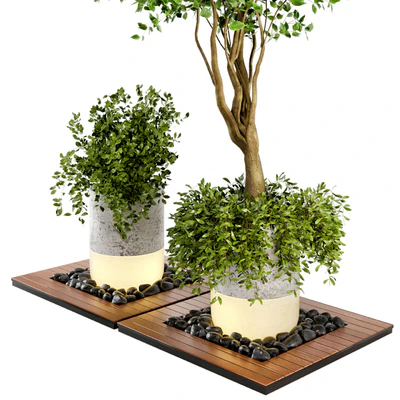 Outdoor Plants bush & Tree Combination of wood & concrete  Pot - Garden Set 45 — Вид 2