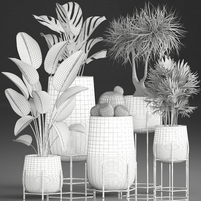 Collection of plants in luxury gold pots on legs with Monstera, Banana, rapeseed, dracaena, cactus, luxury decor. Set 546. — Descargar