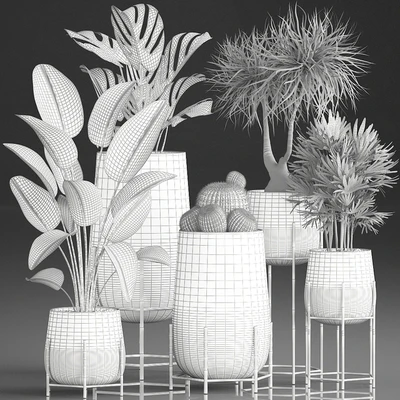 Collection of plants in luxury gold pots on legs with Monstera, Banana, rapeseed, dracaena, cactus, luxury decor. Set 546. — Ver 3