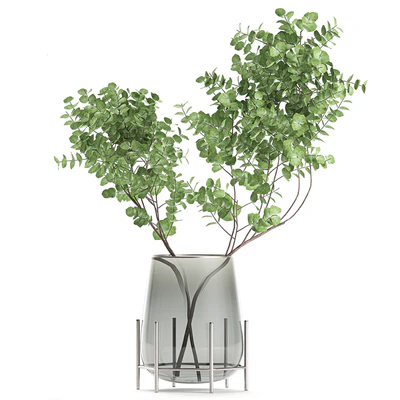 A collection of beautiful bouquets of branches with Eucalyptus leaves in a shelved vase. Set of 100. — Ver 2