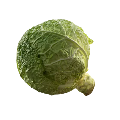 cabbage 001 — Скачать
