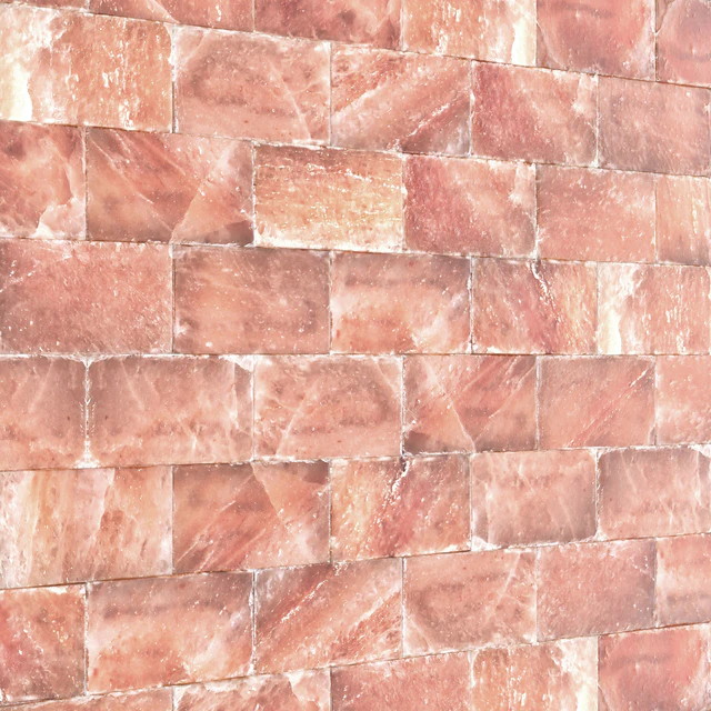 Himalayan salt bricks — Descargar