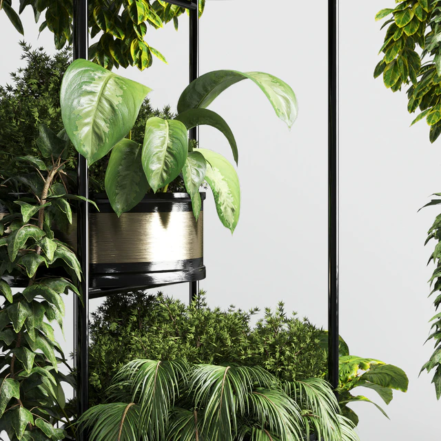 collection Indoor plant plant stairs stand metal vase 10 — Descargar