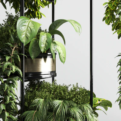 collection Indoor plant plant stairs stand metal vase 10 — Ver 2