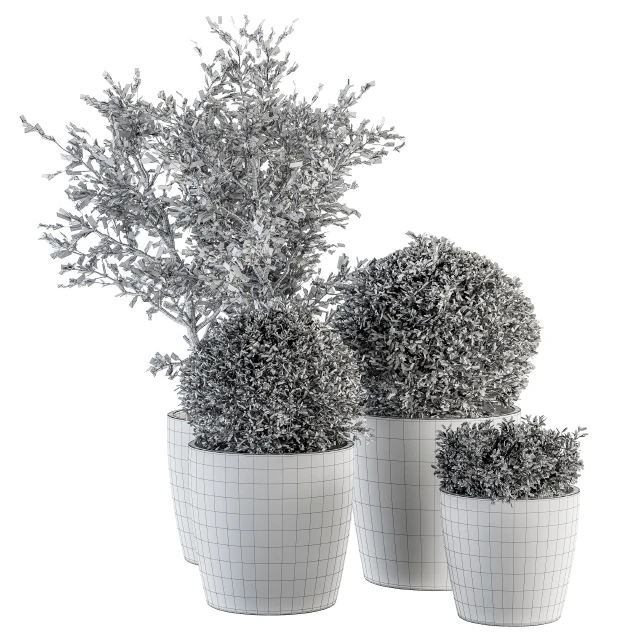 Outdoor Plant Set 209 - Plant and Tree in Pot — Скачать