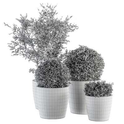 Outdoor Plant Set 209 - Plant and Tree in Pot — Вид 2