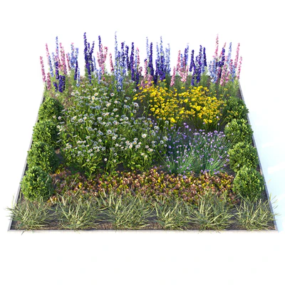 Flower garden 2 — Ver 2