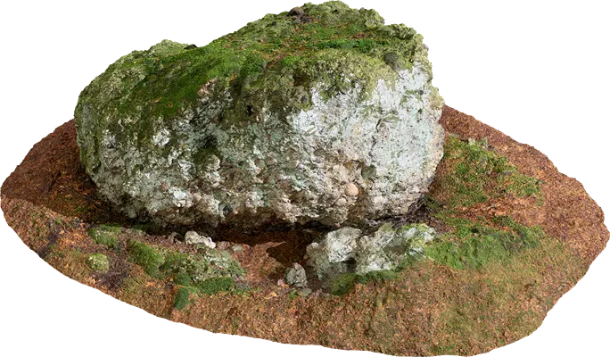 mossy forest rock 010 — Скачать