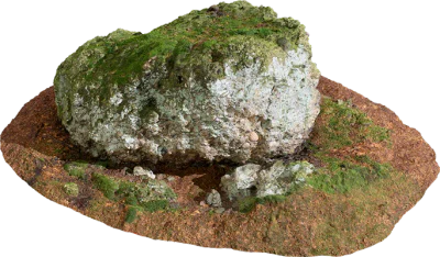mossy forest rock 010 — Скачать