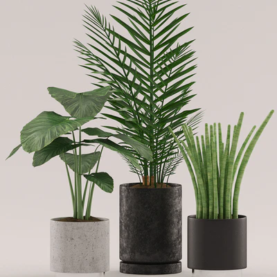 Plants 108 — Ver 2