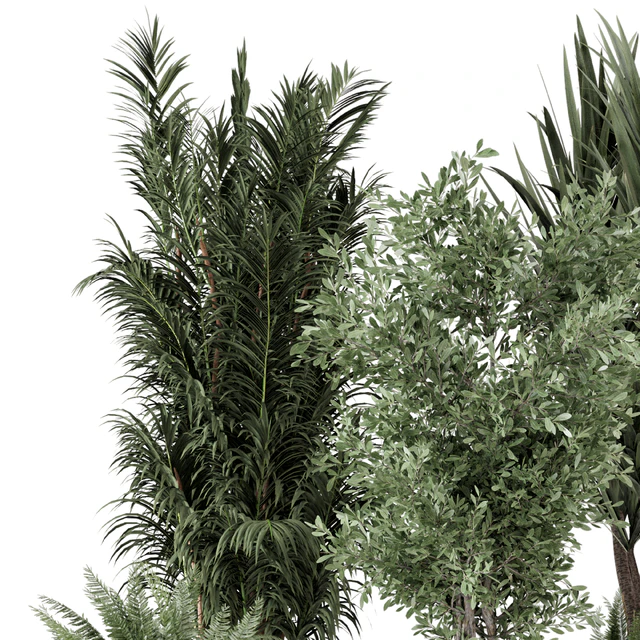 Indoor Plants in Ferm Living Bau Pot Large - Set 362 — Скачать