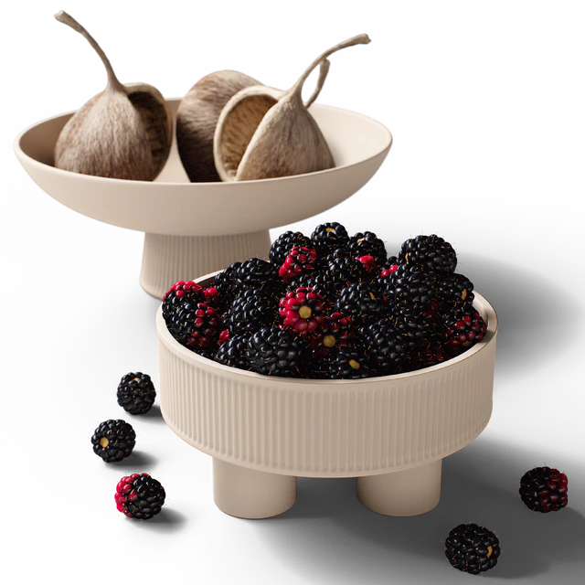 Decorative set 77 Blackberry and brunia — Descargar