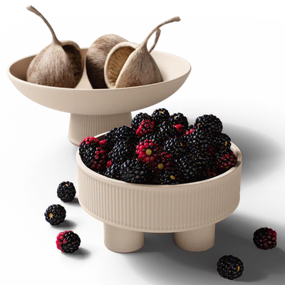 Decorative set 77 Blackberry and brunia — Ver 3