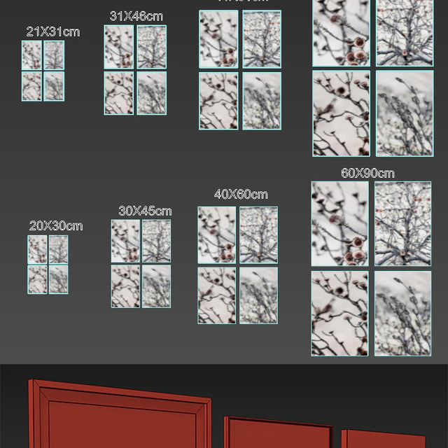 Proteas framed set-02 — Скачать