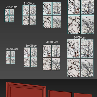 Proteas framed set-02 — Вид 2
