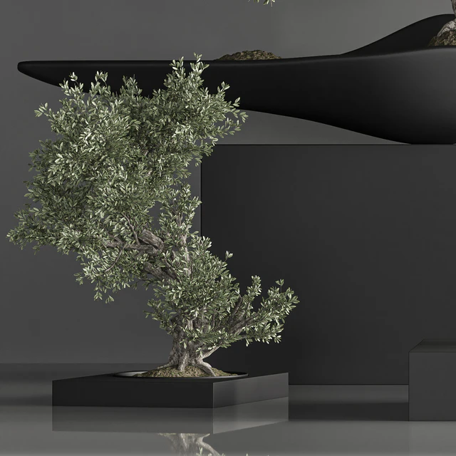 indoor plant bonsai set 29 — Скачать