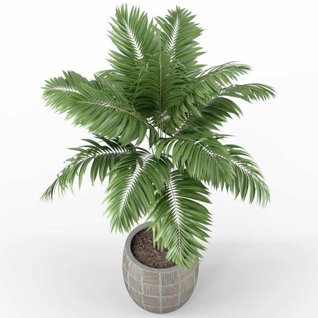 Plants collection 220 — Descargar