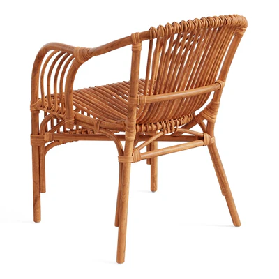 Pari Rattan Chair — Вид 2