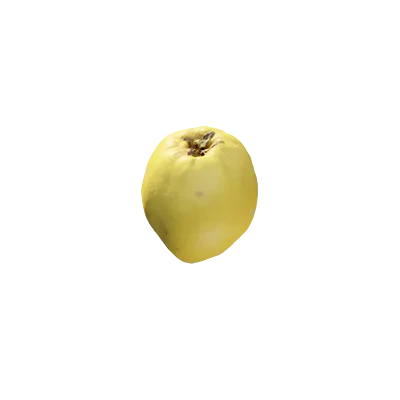 quince 002 — Скачать