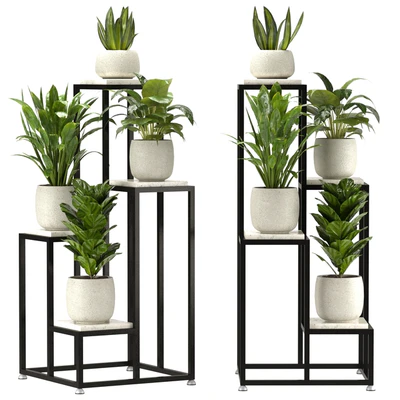 Collection Indoor Plants Nim08 — Вид 1