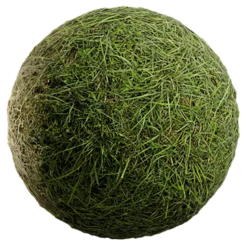 uncut grass 010 — Descargar